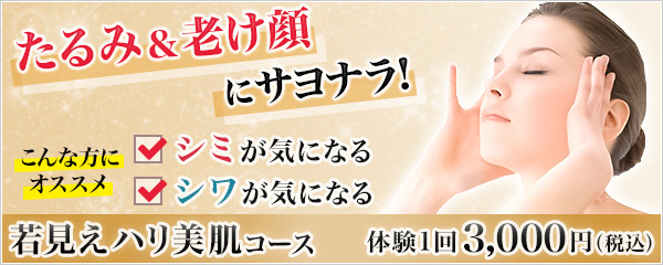 体験者に聞く！東京都内で安い痩身エステおすすめ10選【格安体験コース比較】 | kiki wedding｜キキウェディング