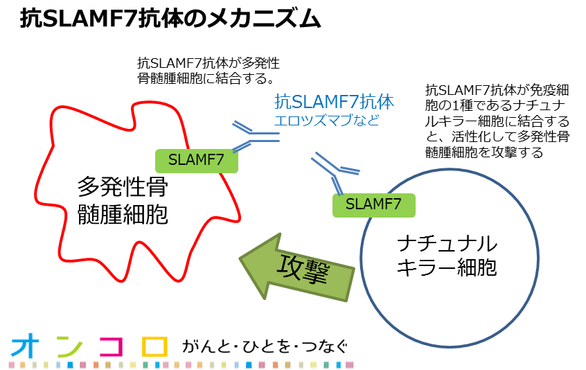 5/10㈮受診日〜明日から６月 | 私の中の多発性骨髄腫