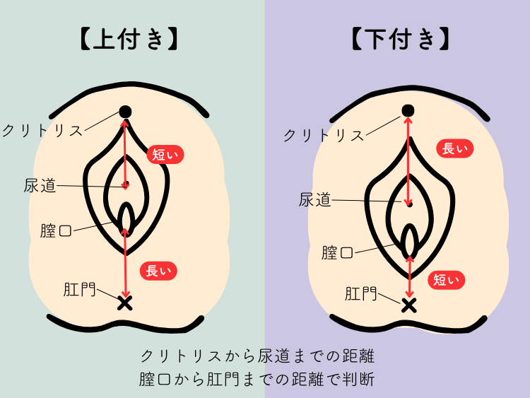 男性必見！正しいまんこの触り方・愛撫の方法とは？現役風俗嬢が徹底解説！