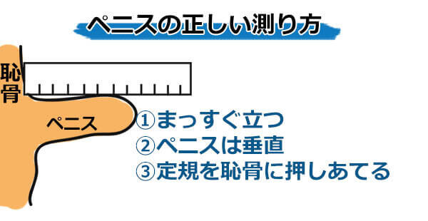 ペ○スの長さ・角度・硬さの正確な身体測定法【ペ○ス世界ランキング】