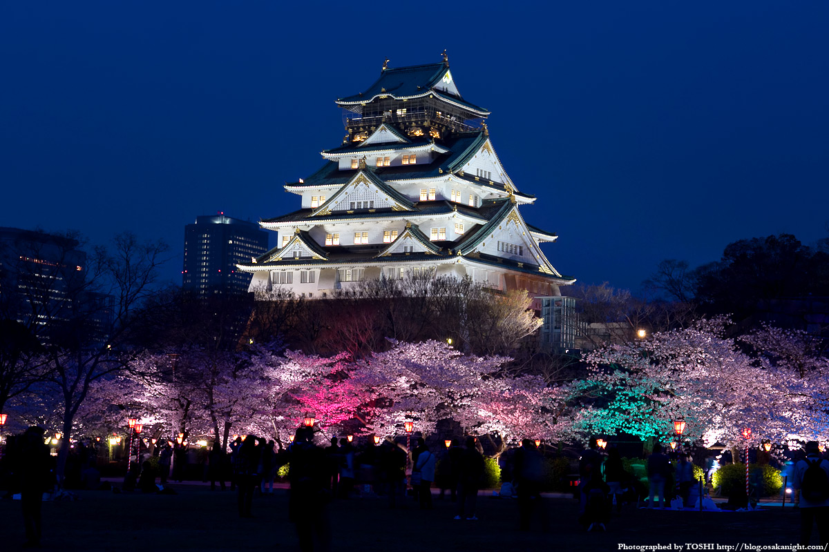 大阪】桜お花見おすすめ・穴場スポット10選！2024 | いこーよとりっぷ