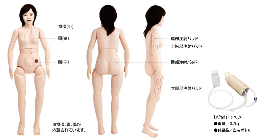 鍼灸女子委員会研修会 『不妊症について』 |