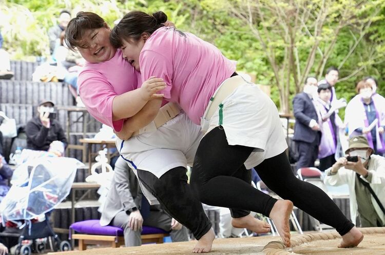 母の日恒例、女相撲大会「まこデラックス山」が「彩聖丸」を寄り倒しＶ奪還 北海道福島町 - 産経ニュース