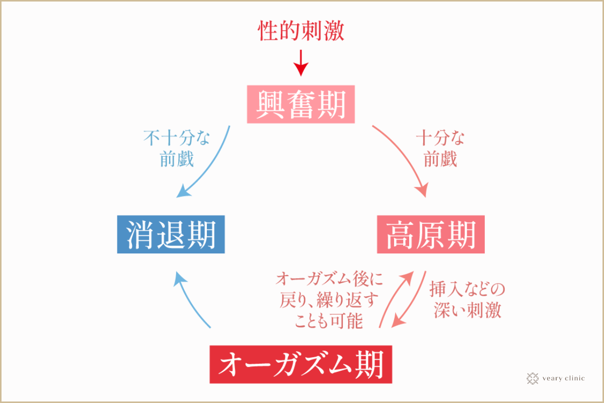 外イキの感覚を解き明かす：あなたを理解するための5ステップガイド｜素肌性感