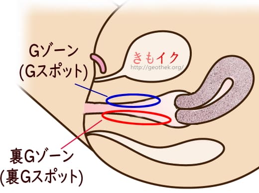 寝バックは中イキしやすいって本当？寝バックが人気な理由やコツを紹介！