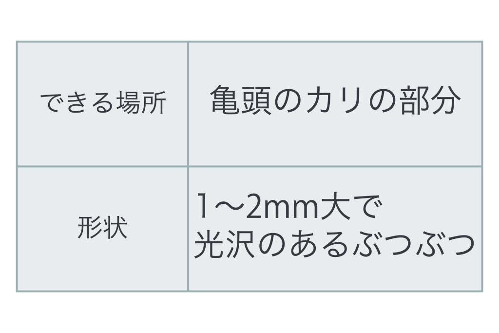 有楽町美容外科クリニック：ペニスリング法