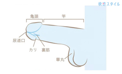 タグ「手コキ」の画像276,625枚(64ページ目)をまとめてみました - エロプル