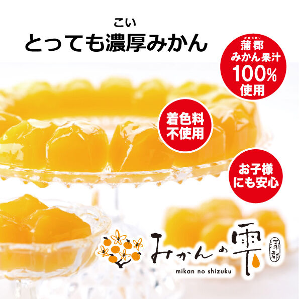 ふるさと納税 蒲郡市 蒲郡みかんの雫15個入り×2個セット 果汁たっぷり蒲郡みかんゼリー_【G0257】