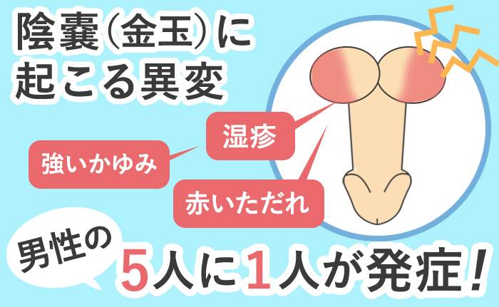 ハーフJDリン＆美巨乳JDミサ○みそバグる痙攣絶頂セックス イケメンAV男優の凄テク我慢できたら100万円！イったら即ハメ高速ピストンで容赦なくナマ中出し！  ORECS-053 |