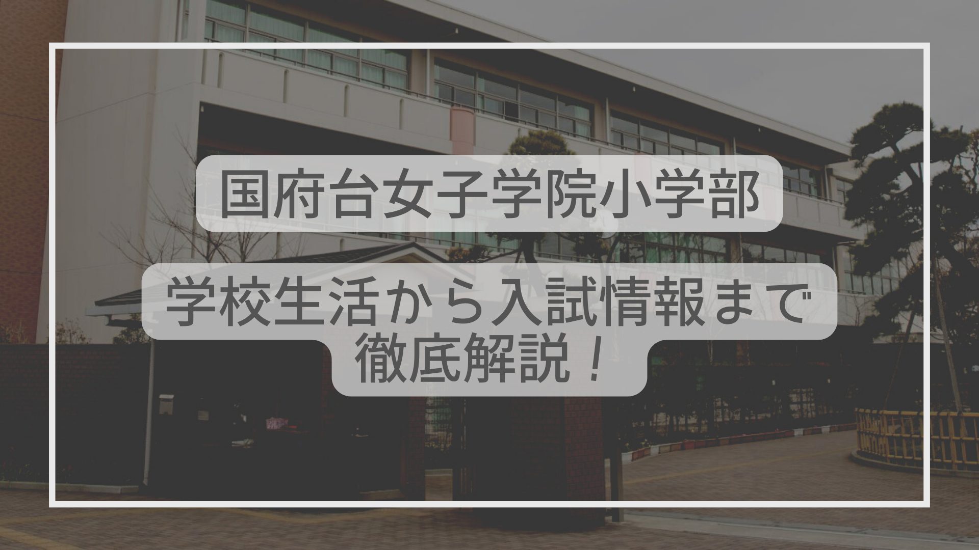 Happy SVC🏐📍千葉県松戸レディース🙋🏻‍♀️ | 『メンバー募集中！』 私たちのチームは、年齢問わず楽しくソフトバレーを