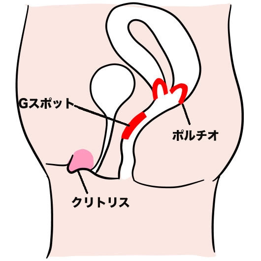 性生活に必要なモノ 対面座位はGスポットに当たりやすい