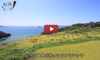 旅館 鷹島センター - 松浦/旅館・民宿 |