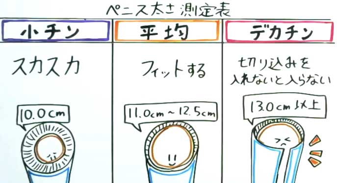 これって平均サイズなの？ちんちん測定ターイム！正しい測り方を教えましょう | 大人のマナビヤ