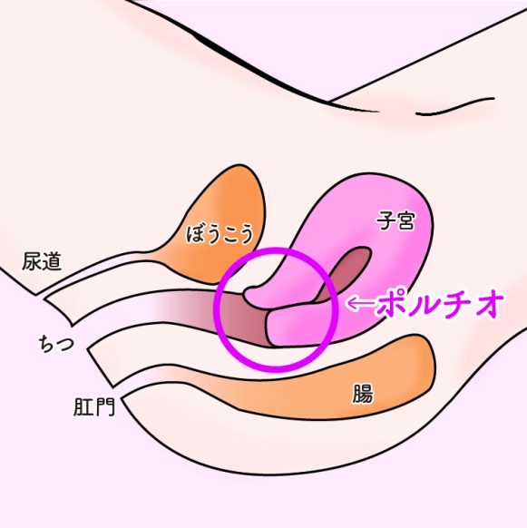 ハメ潮を5人で成功してやり方がわかったので誰でもできるコツを解説｜裏垢男子で年収2000万