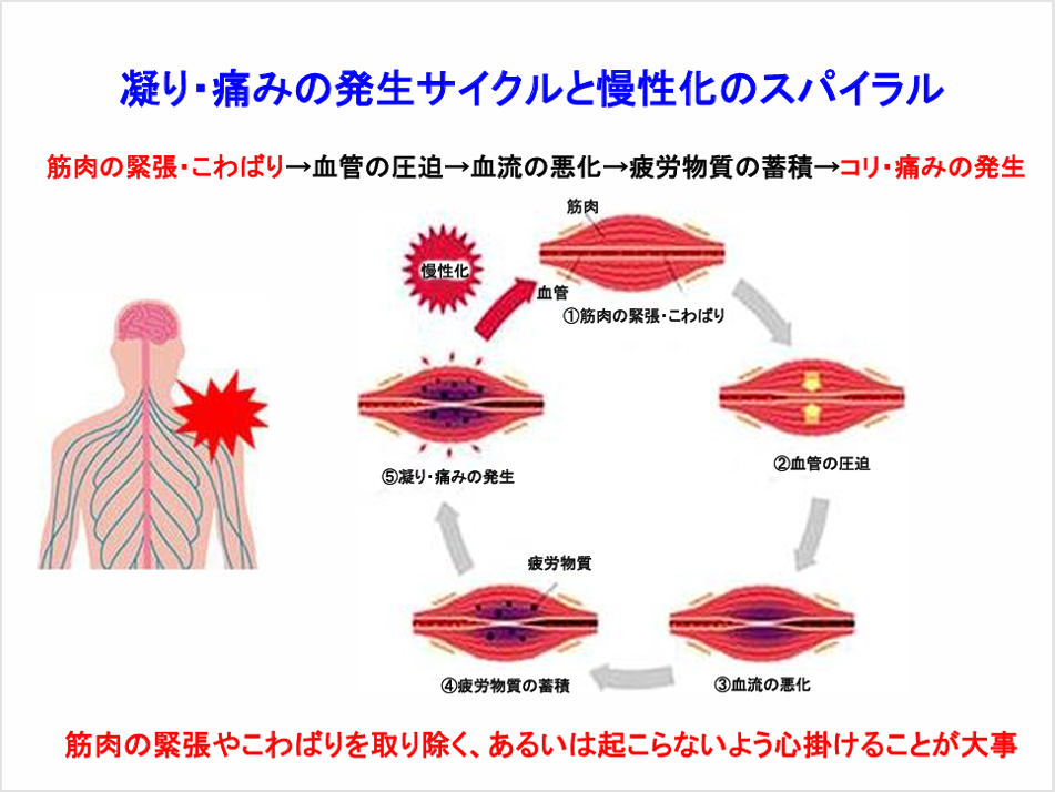 命を救うのは子どもたち。胸骨圧迫＆AED教材を全国の子どものいる場所へ届けたい！ - CAMPFIRE (キャンプファイヤー)