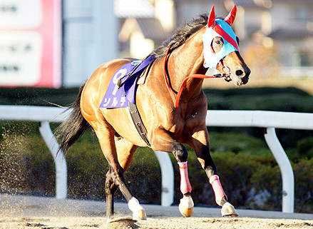 笠松競馬秋まつり』 | 日々