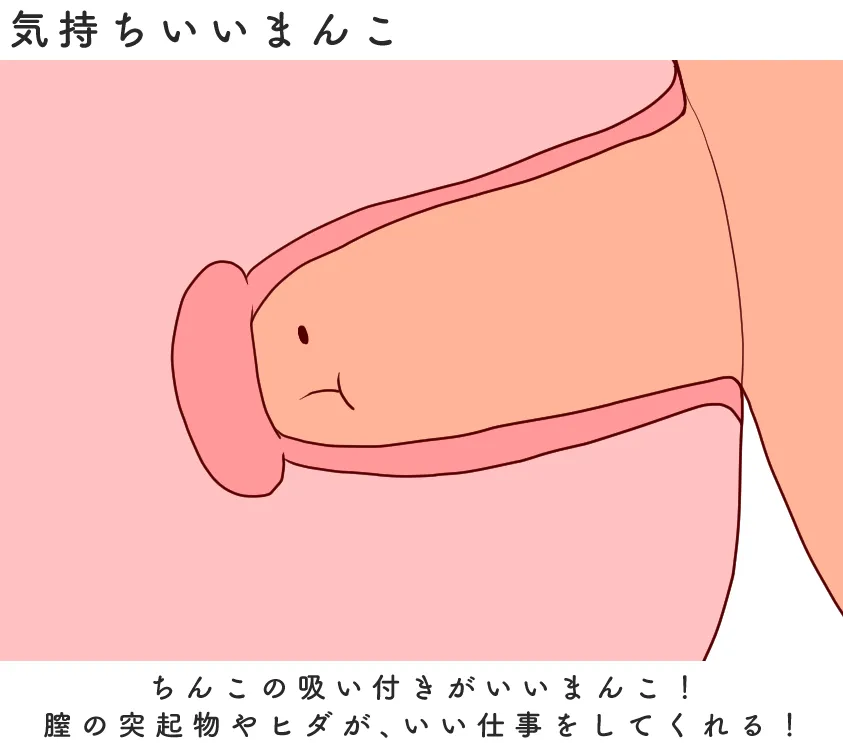 隠れ性感帯【裏Gスポット】の 探し方や開発方法をわかりやすく解説 |