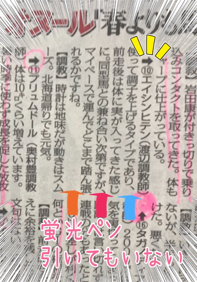 調教タイムの見方 – 調教欄には馬の調子が隠されている！