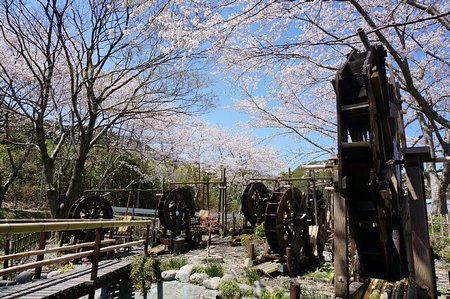 メニュー : パティオ 鹿児島店