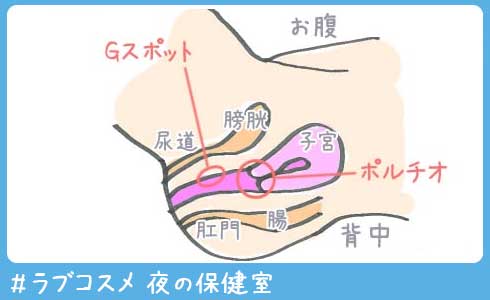 ポルチオセックスとは？やり方や位置を知って快感を引き出そう | Ray(レイ)