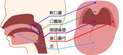 気弱な義妹のお口で喉奥ハードピストンイラマチオ練習していたらパンツにシミが出来るほどのビショ濡れ状態！！喉奥発射したばかりのボクのチ○ポ…2  HUNTA-853|럭셔리 HD 斯斯tv_18av免費線上直播_a片成人電影PC平板手機看到飽