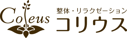 骨盤スタイル鍼灸整骨院－新川崎院ーの求人・採用・アクセス情報 | ジョブメドレー