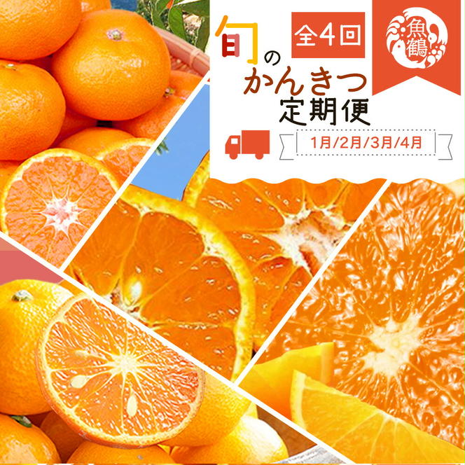 長崎県産品・特産品のECサイト「長崎市場どっとこむ」 / 特集：なつみ-南津海（西海市/原口果樹園）