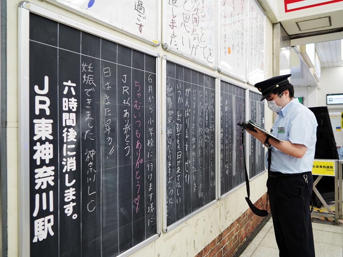 神奈川県横須賀市坂本町周辺で猫を探しています - ネコサーチ | 迷子猫と保護情報の専用掲示板