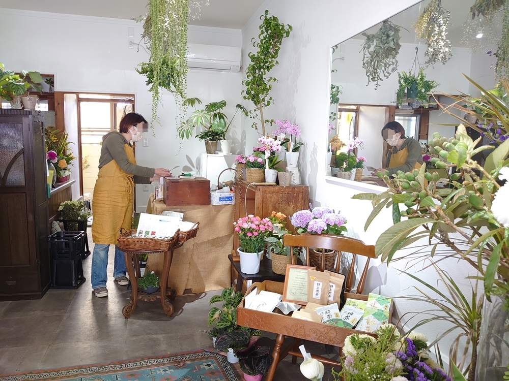 多肉植物がたくさん入荷しました | アトリエ華もみじ | ブリコラージュフラワー