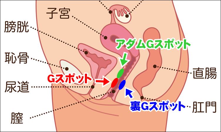 潮吹きするまでGスポット責め‐ビチョグチョ手マン‐ [Penguin Farm] |