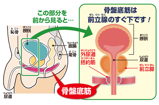 実践！膣マッサージで骨盤底筋をケアしよう - TENGAヘルスケア プロダクトサイト