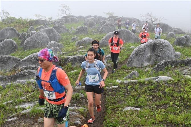 食卓の種子保存運動 遺伝資源の「ノアの方舟」 - Taiwan