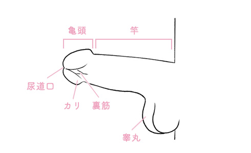 フェラでいけない悩みを解決！気持ち良くない原因とフェラでいくコツ13選を紹介｜風じゃマガジン