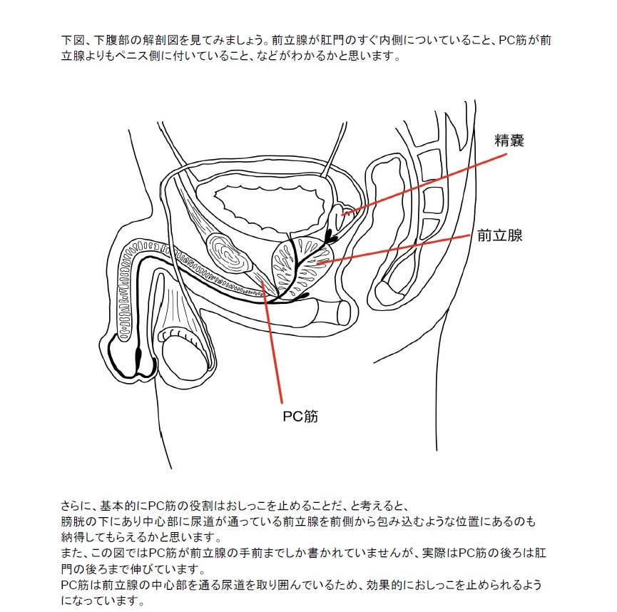 221007][ホワイト×ラバーズ]乳首と前立腺の快感を体に叩き込んでくるメンヘラ男の娘 | 乳首と前立腺の快感を体に叩き込んでくるメンヘラ男の娘♪