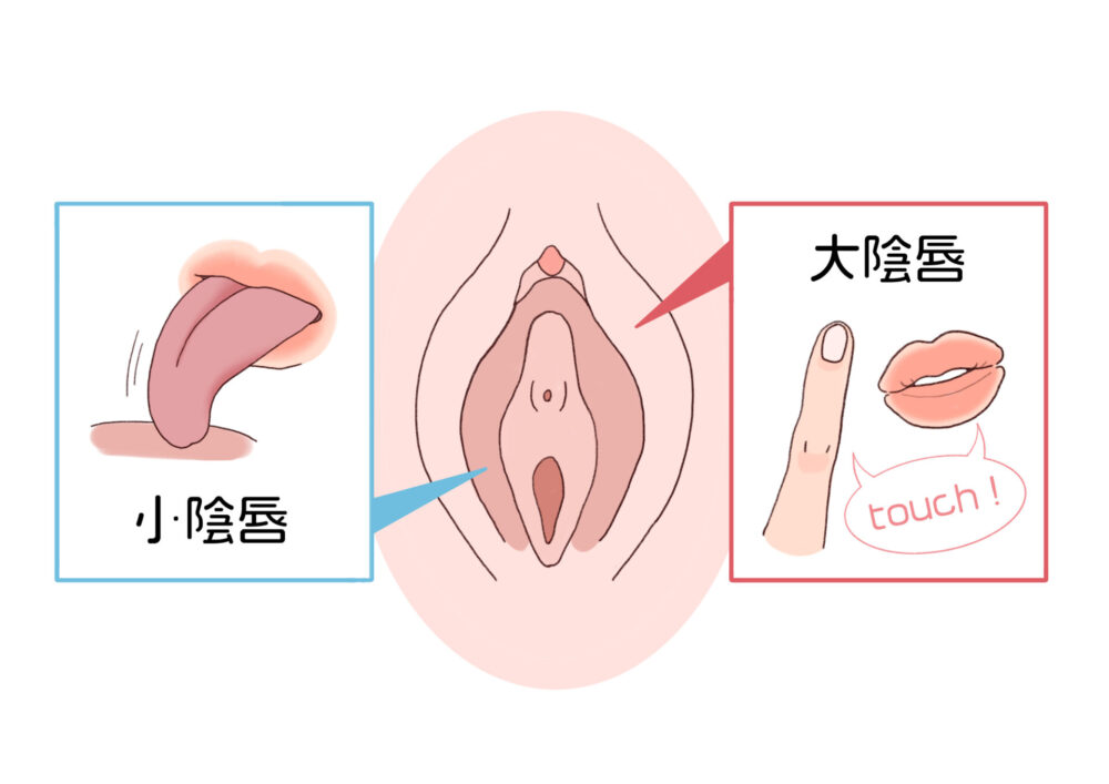 クンニリングスのやり方！上級クンニテク - 夜の保健室