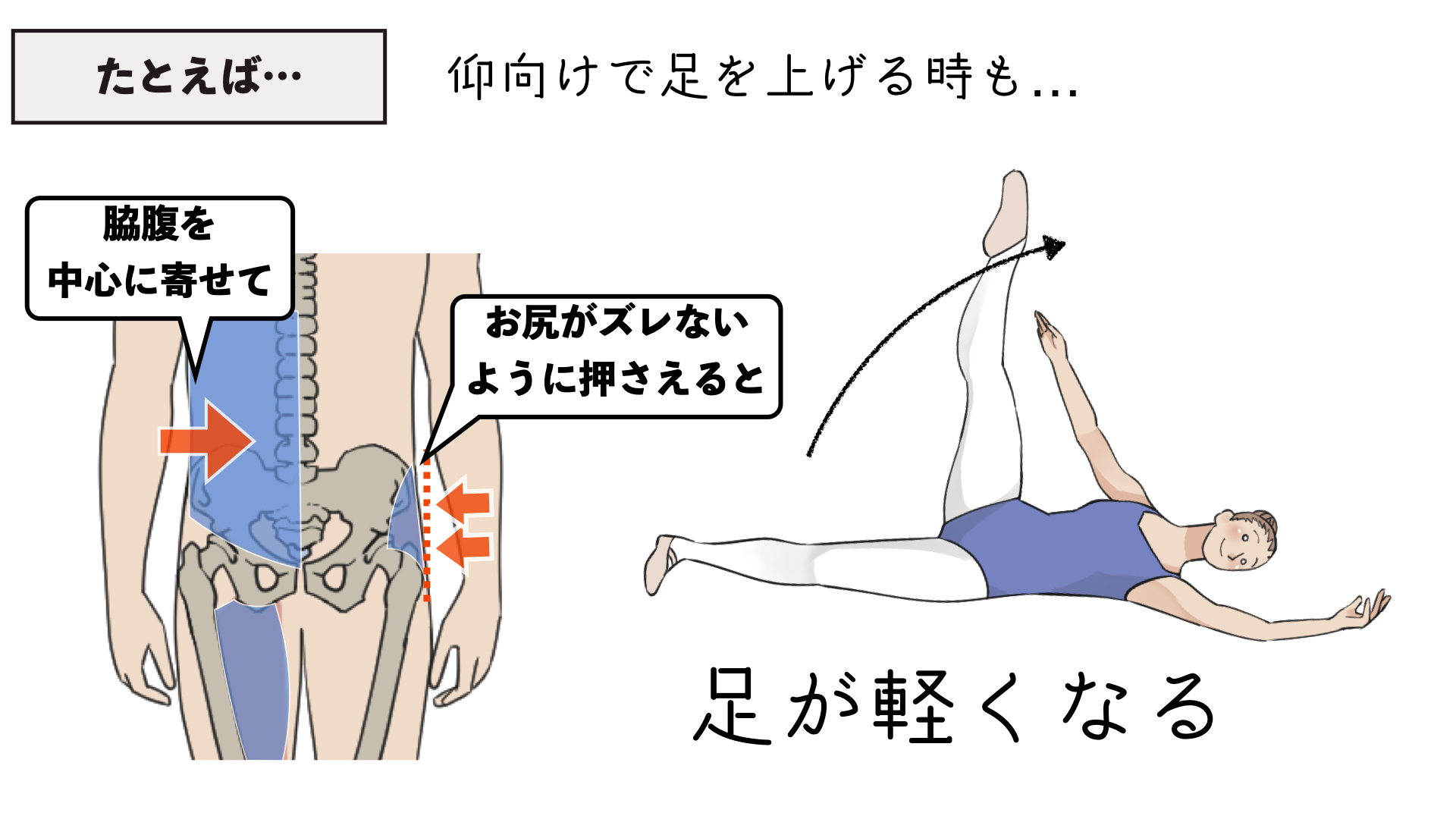 筋肉研究所 今週の窓