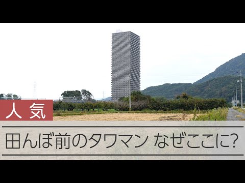 ブリリア有明スカイタワー｜三井のリハウス