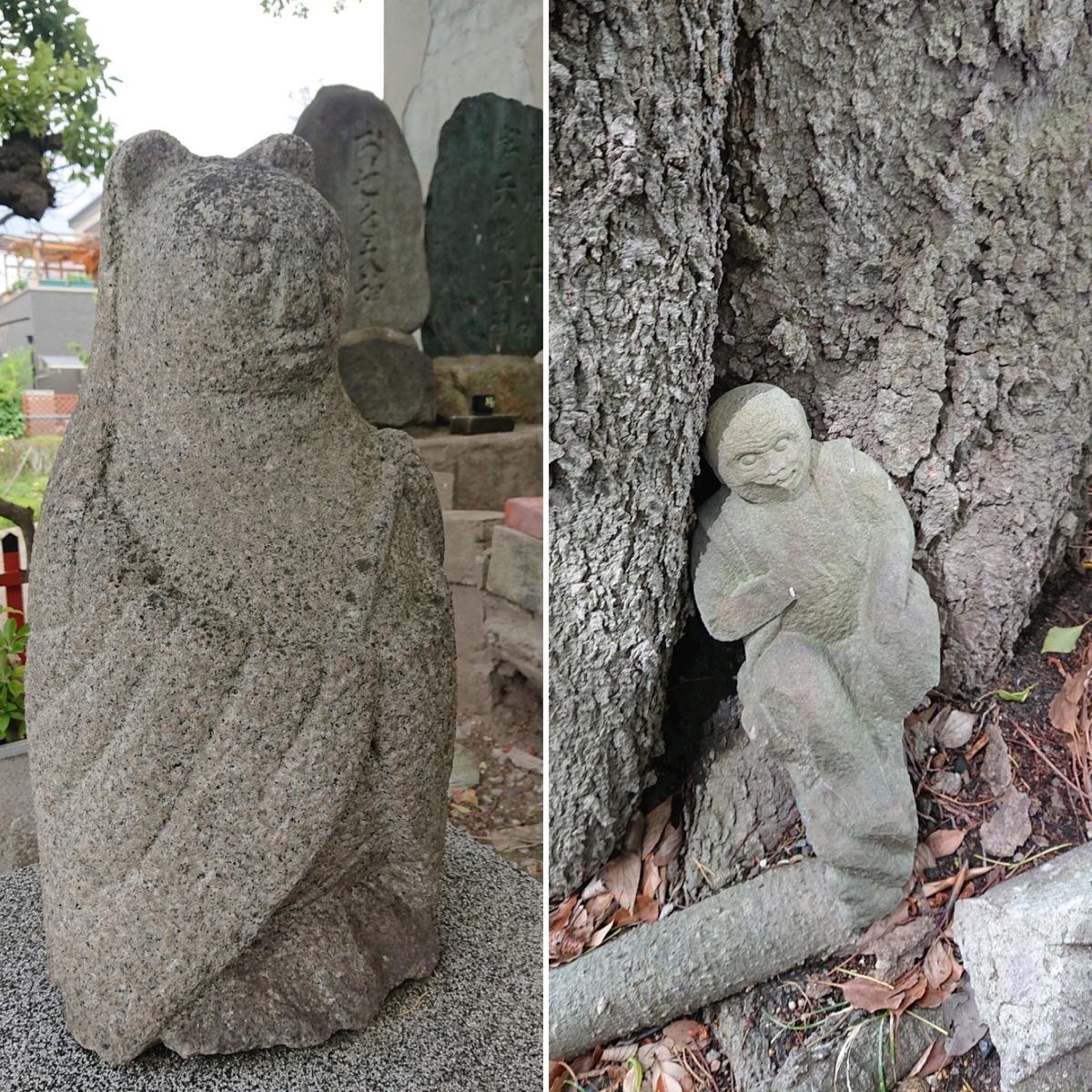 ペットと泊まれる旅館 弁天館 |