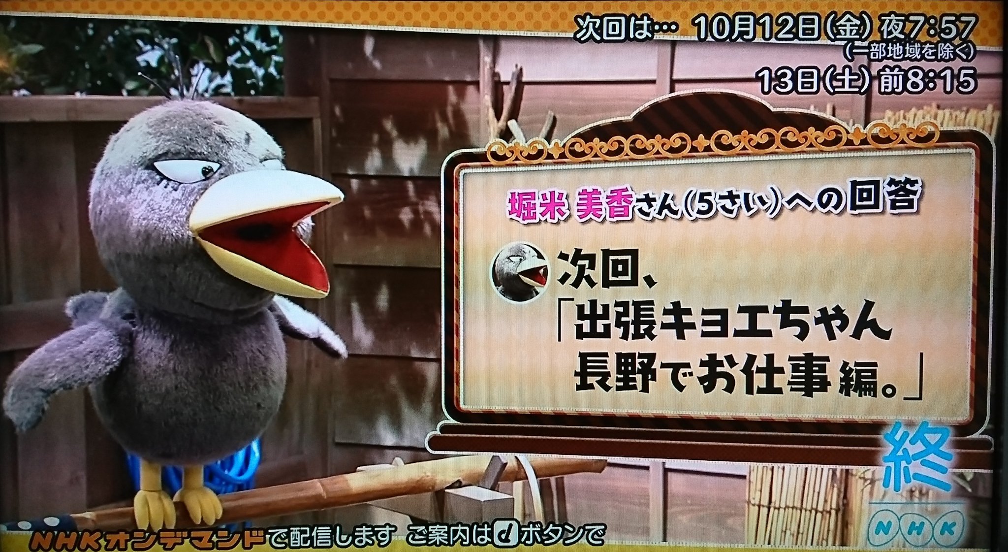 第13回 NHK「チコちゃんに叱られる！」VTRゲストに小沢仁志さん登場で大暴れ？出張用チコちゃんも再登場！