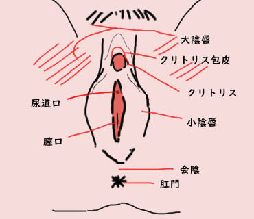 女がイキまくるGスポットの攻め方。愛撫方法・場所・触り方を徹底解説