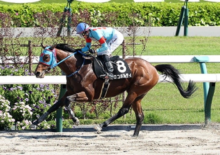 伏兵８番人気ロコポルティが制す 丸山騎手「外に出してからがすごかった」／伊勢Ｓ - 競馬