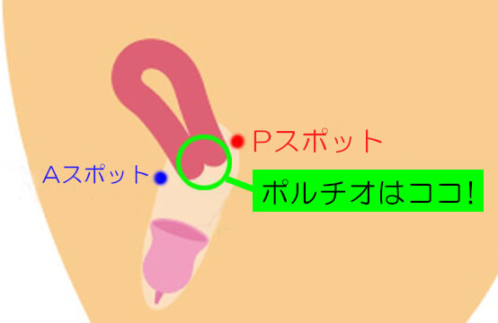 やみつき！？女性が奥イキしやすい体位４選