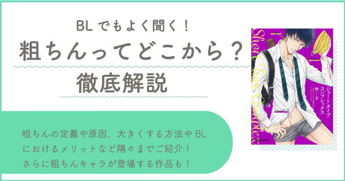 騎乗位とは？ セックスでのやり方を画像で解説 | 女性が気持ちいい腰の動かし方とは？ ｜