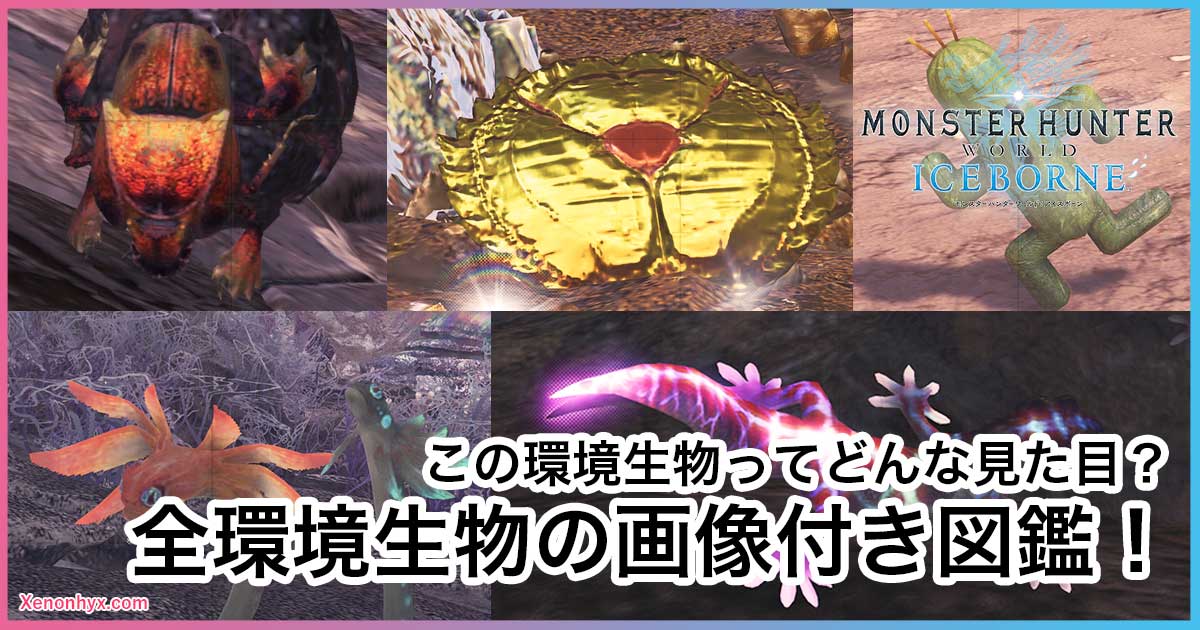 【MHW】環境生物を捕獲してペットにしよう！-初心者向け-【モンハンワールド】鳥の爪実況