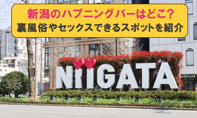 新潟！長岡！上越！新潟県の各エリアにおける風俗の特徴を紹介！ - バニラボ