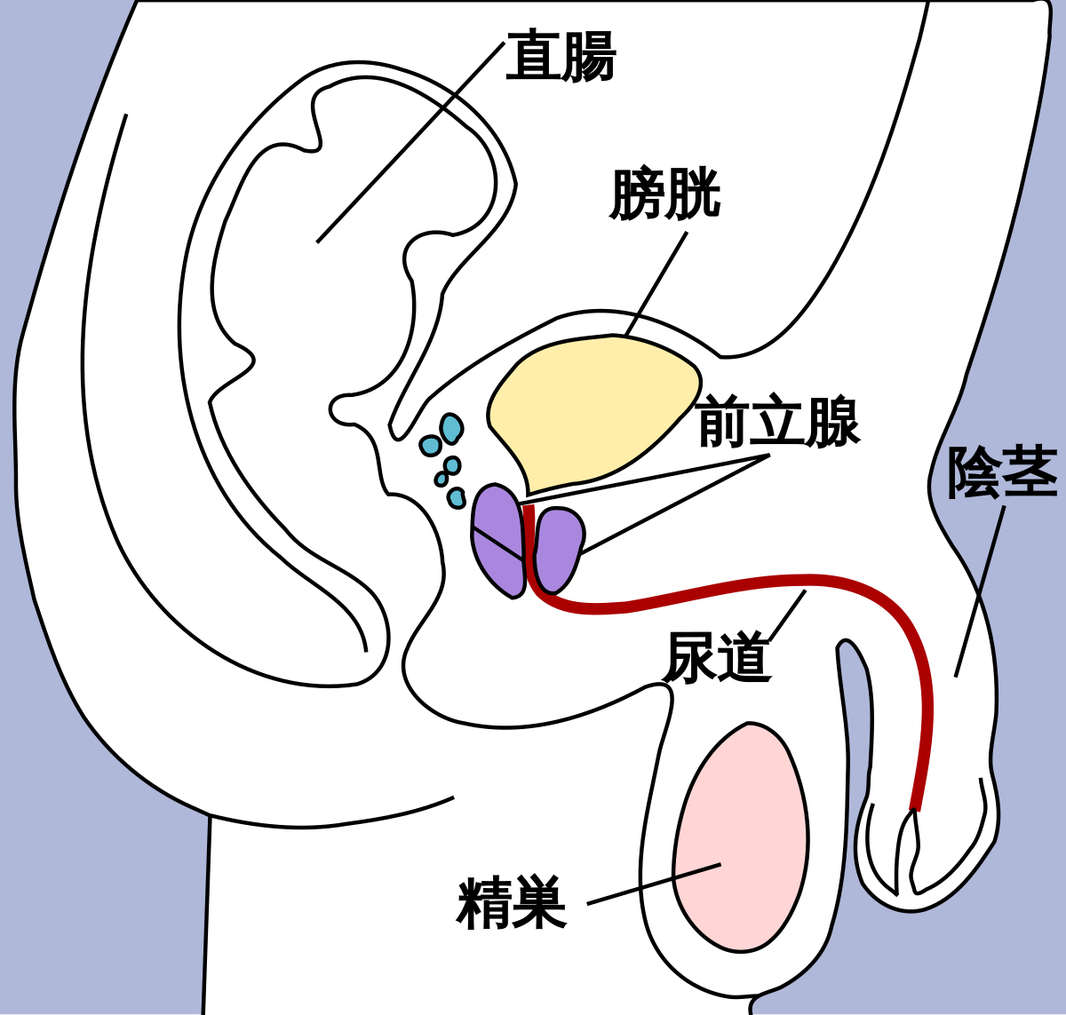 彼をイカせる！気持ち良い手コキのテクニック７選【快感スタイル】