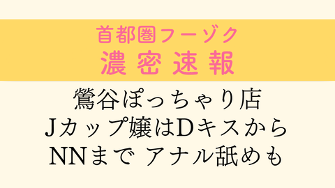 完全無料】風俗サイトの自動更新やホームページ制作なら【ＦＤＣ】