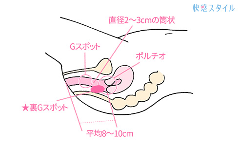 アナルが苦手なウケに贈る「アナルセックス」で気持ちよくなる方法