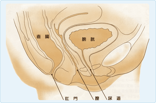 尿漏れ（尿失禁）｜京都済生会病院