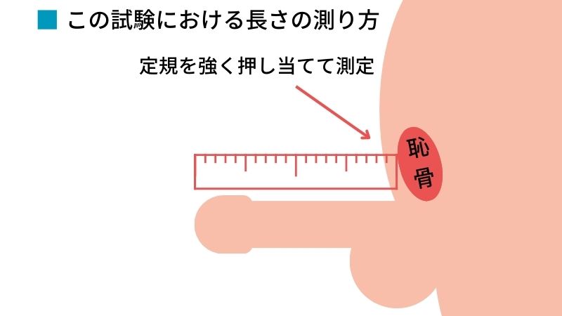 長茎術（パワーアップ） ： 男性器（包茎、長茎など）：美容外科 高須クリニック